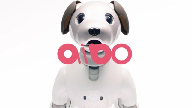 Sony Relaunches AIBO, The Robotic Dog aibo sony robotic dog