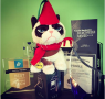 funny and update and personable