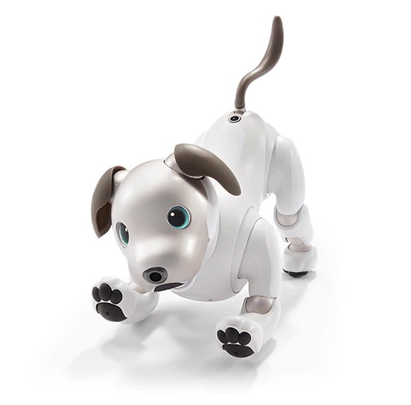 sony aibo robotic dog